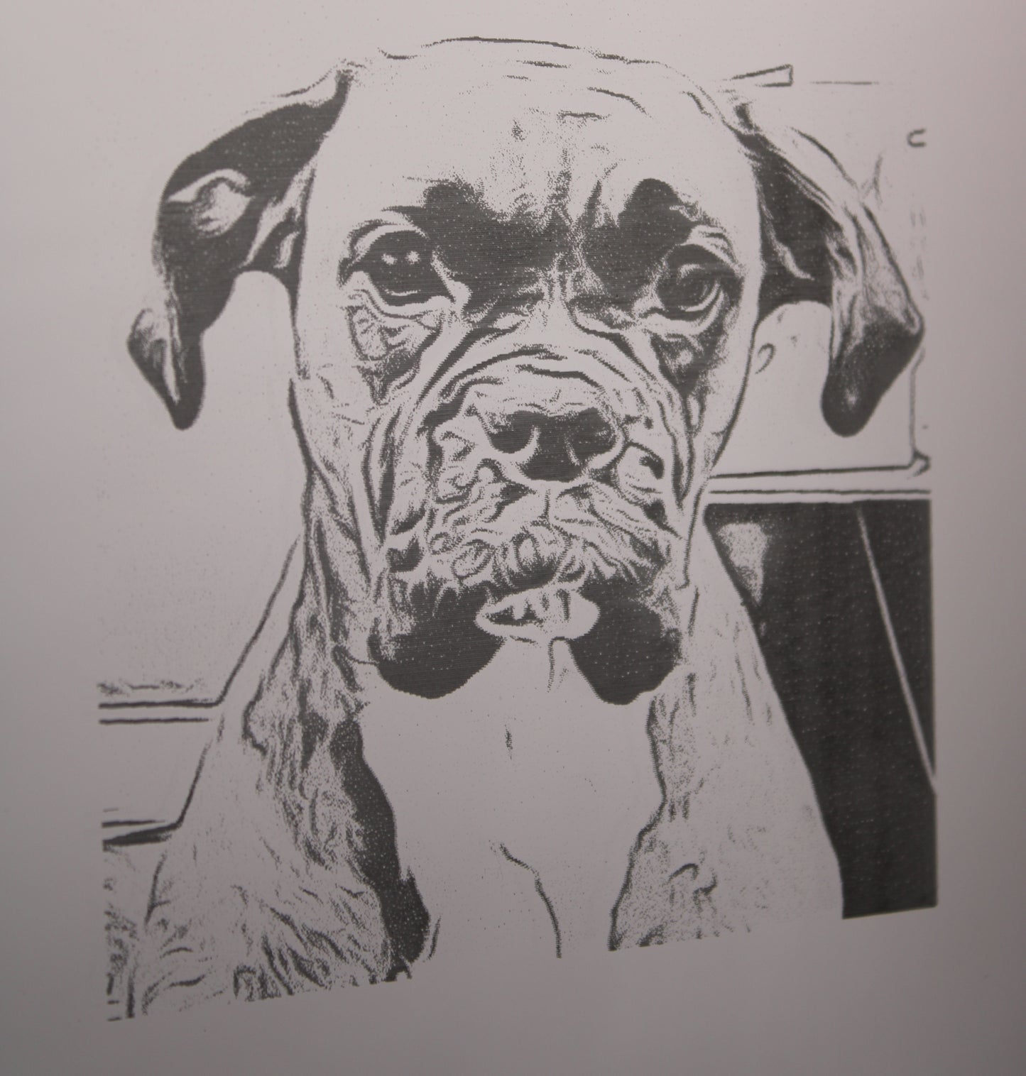 Mirror etching boxer dog