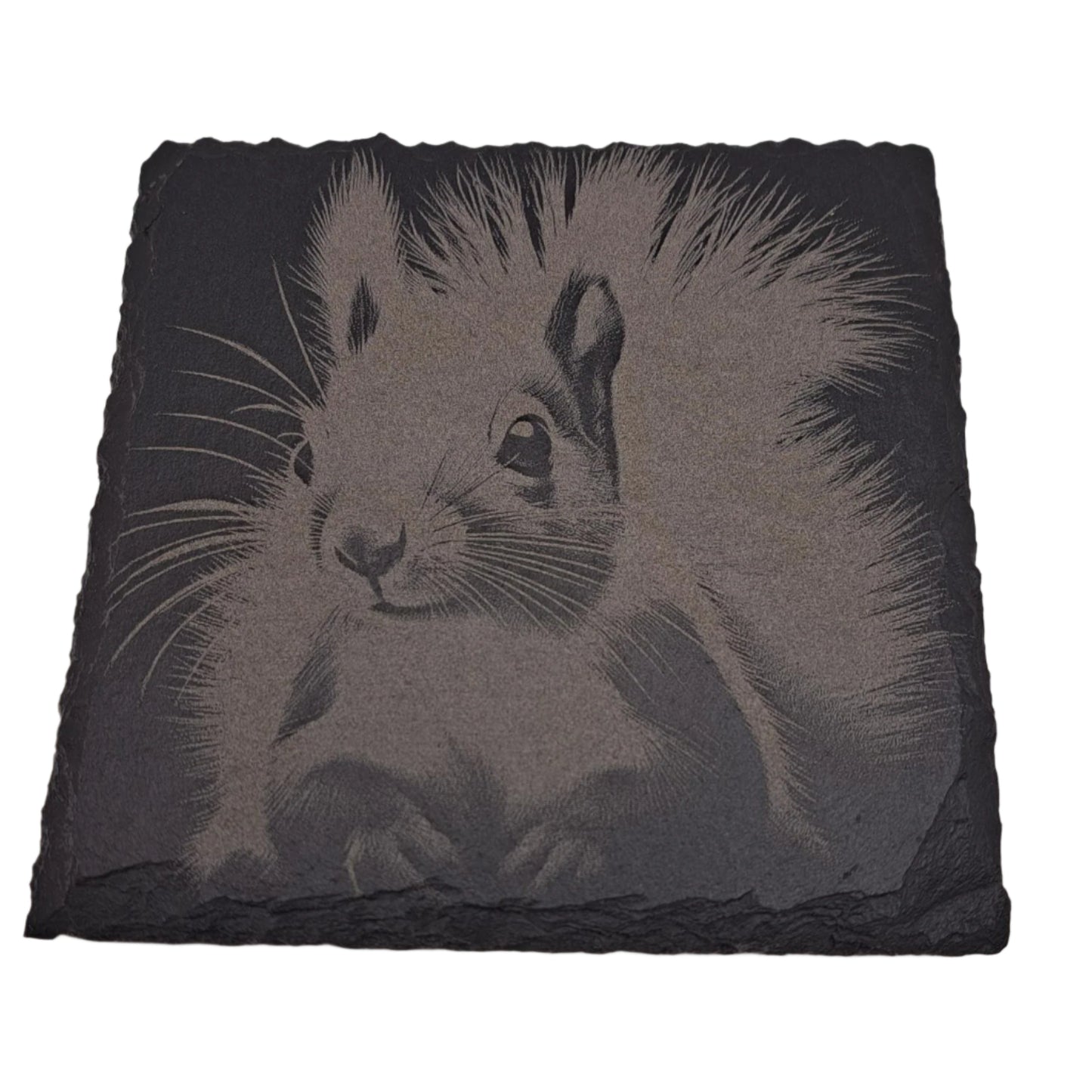 A beautifully etched slate coaster featuring a squirrel